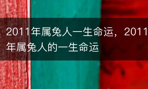 2011年属兔人一生命运，2011年属兔人的一生命运
