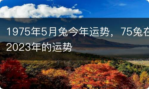 1975年5月兔今年运势，75兔在2023年的运势