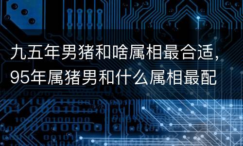 九五年男猪和啥属相最合适，95年属猪男和什么属相最配
