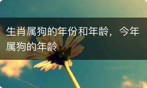 生肖属狗的年份和年龄，今年属狗的年龄
