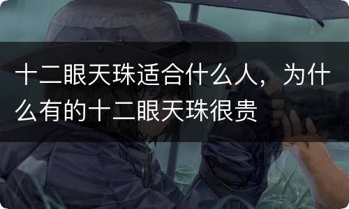 十二眼天珠适合什么人，为什么有的十二眼天珠很贵