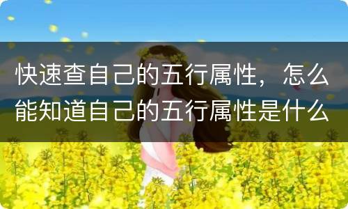 快速查自己的五行属性，怎么能知道自己的五行属性是什么