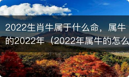 2022生肖牛属于什么命，属牛的2022年（2022年属牛的怎么样的生肖）