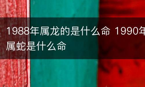 1988年属龙的是什么命 1990年属蛇是什么命