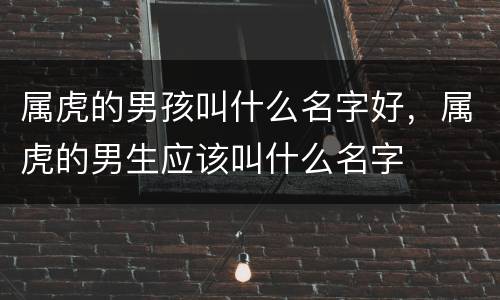 属虎的男孩叫什么名字好，属虎的男生应该叫什么名字