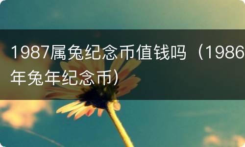 1987属兔纪念币值钱吗（1986年兔年纪念币）