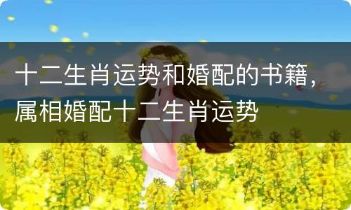 十二生肖运势和婚配的书籍，属相婚配十二生肖运势
