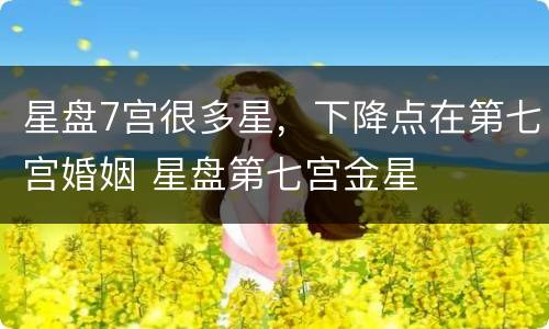 星盘7宫很多星，下降点在第七宫婚姻 星盘第七宫金星
