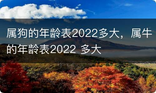 属狗的年龄表2022多大，属牛的年龄表2022 多大