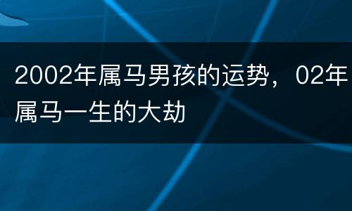2002年属马男孩的运势，02年属马一生的大劫