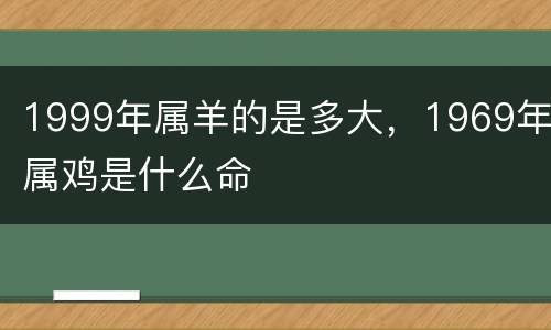 1999年属羊的是多大，1969年属鸡是什么命
