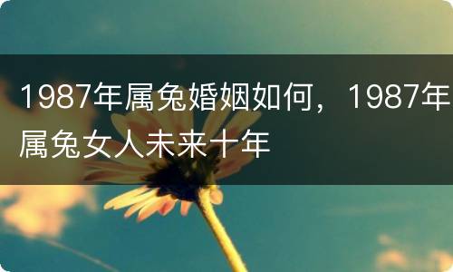 1987年属兔婚姻如何，1987年属兔女人未来十年