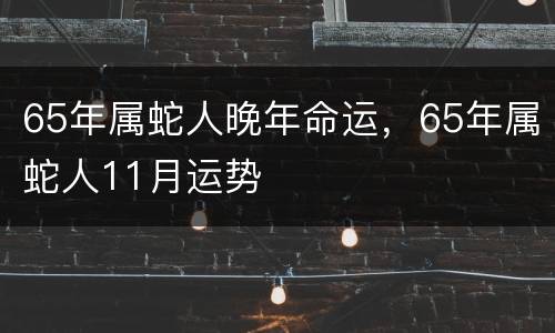 65年属蛇人晚年命运，65年属蛇人11月运势