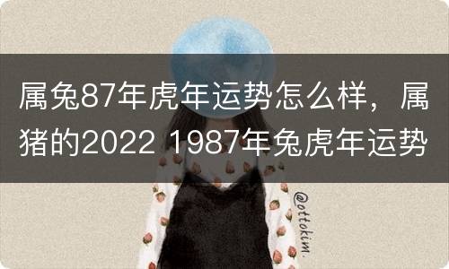 属兔87年虎年运势怎么样，属猪的2022 1987年兔虎年运势