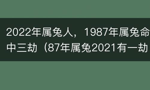 2022年属兔人，1987年属兔命中三劫（87年属兔2021有一劫）