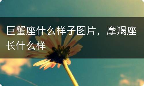 巨蟹座什么样子图片，摩羯座长什么样