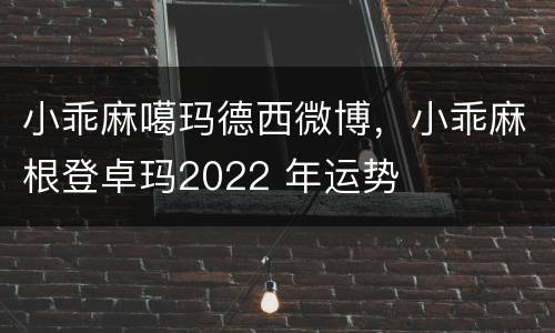 小乖麻噶玛德西微博，小乖麻根登卓玛2022 年运势