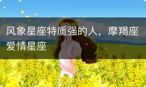 风象星座特质强的人，摩羯座爱情星座