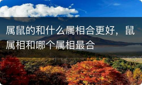 属鼠的和什么属相合更好，鼠属相和哪个属相最合