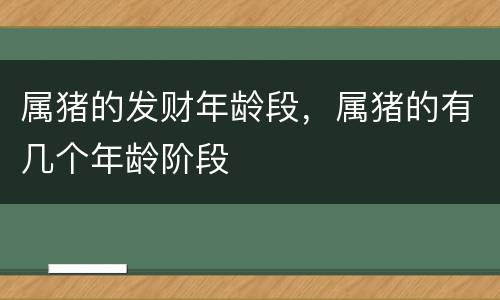 属猪的发财年龄段，属猪的有几个年龄阶段