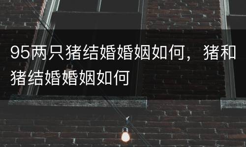 95两只猪结婚婚姻如何，猪和猪结婚婚姻如何