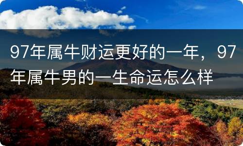 97年属牛财运更好的一年，97年属牛男的一生命运怎么样
