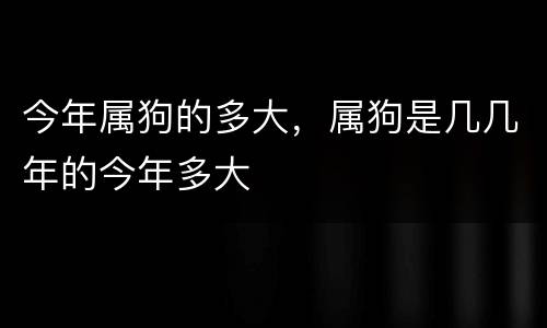 今年属狗的多大，属狗是几几年的今年多大