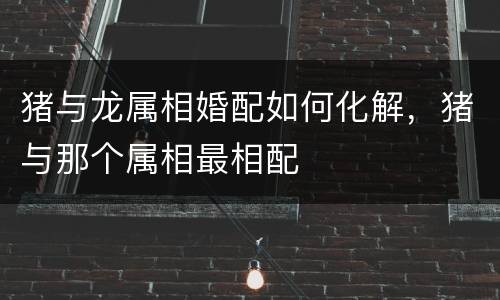 猪与龙属相婚配如何化解，猪与那个属相最相配