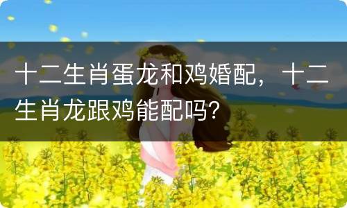 十二生肖蛋龙和鸡婚配，十二生肖龙跟鸡能配吗？