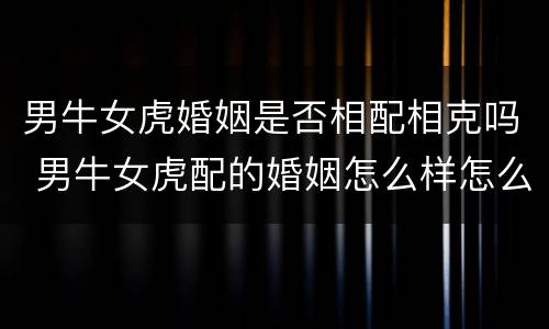 男牛女虎婚姻是否相配相克吗 男牛女虎配的婚姻怎么样怎么破解