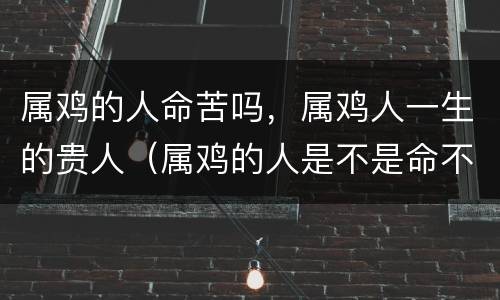 属鸡的人命苦吗，属鸡人一生的贵人（属鸡的人是不是命不好）