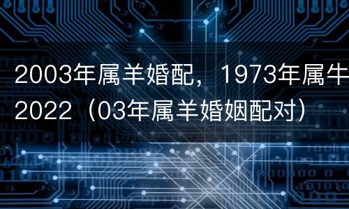 2003年属羊婚配，1973年属牛2022（03年属羊婚姻配对）
