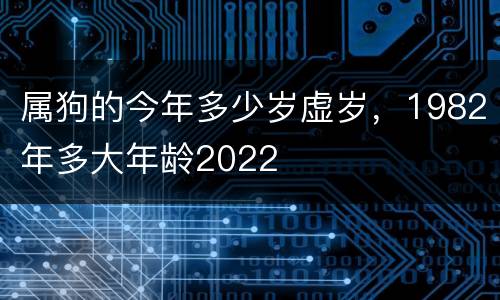 属狗的今年多少岁虚岁，1982年多大年龄2022