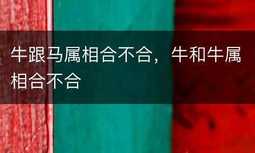 牛跟马属相合不合，牛和牛属相合不合
