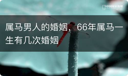属马男人的婚姻，66年属马一生有几次婚姻