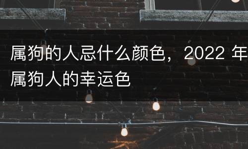 属狗的人忌什么颜色，2022 年属狗人的幸运色