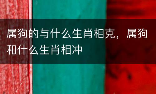 属狗的与什么生肖相克，属狗和什么生肖相冲