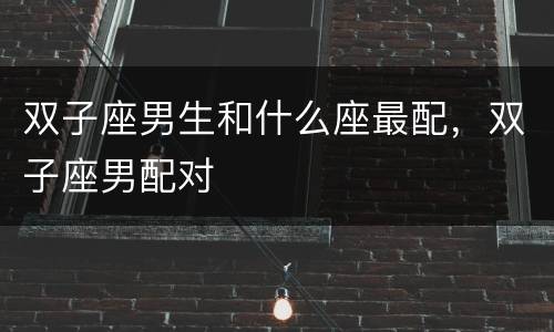 双子座男生和什么座最配，双子座男配对