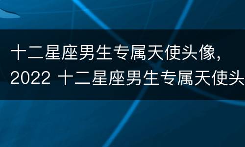 十二星座男生专属天使头像，2022 十二星座男生专属天使头像