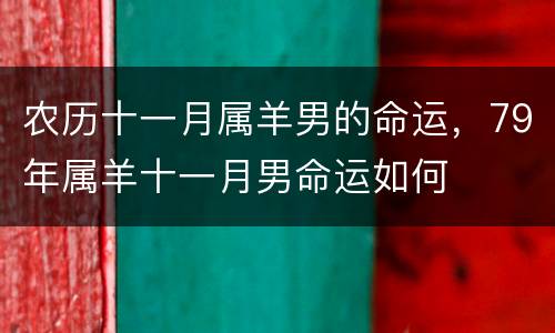 农历十一月属羊男的命运，79年属羊十一月男命运如何