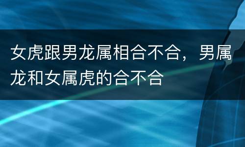 女虎跟男龙属相合不合，男属龙和女属虎的合不合