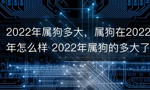 2022年属狗多大，属狗在2022年怎么样 2022年属狗的多大了