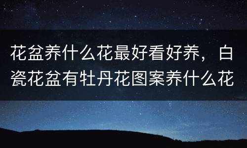 花盆养什么花最好看好养，白瓷花盆有牡丹花图案养什么花好看