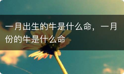 一月出生的牛是什么命，一月份的牛是什么命
