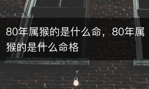 80年属猴的是什么命，80年属猴的是什么命格