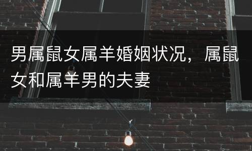 男属鼠女属羊婚姻状况，属鼠女和属羊男的夫妻