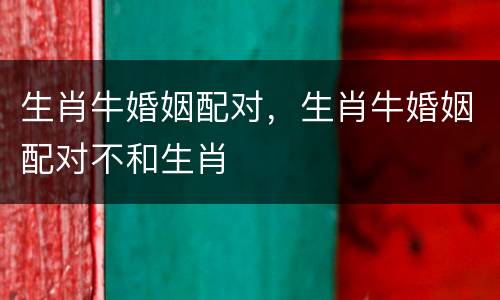 生肖牛婚姻配对，生肖牛婚姻配对不和生肖