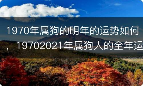 1970年属狗的明年的运势如何，19702021年属狗人的全年运势
