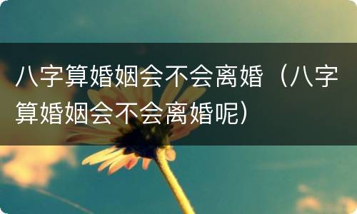 八字算婚姻会不会离婚（八字算婚姻会不会离婚呢）