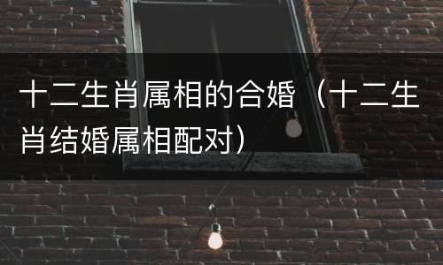十二生肖属相的合婚（十二生肖结婚属相配对）